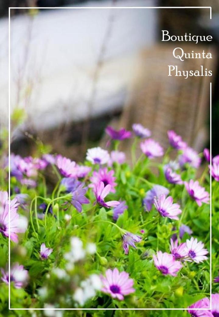 Boutique Quinta Physalis Διαμέρισμα Fenais da Luz Εξωτερικό φωτογραφία